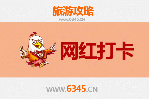 五指山国营畅好农场：热带雨林中的网红打卡秘境